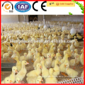 High Quality Poultry Plastic Chicken Farm Fence For Sale